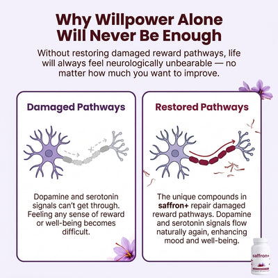 Pure Saffron Extract – Serotonin & Dopamine Support