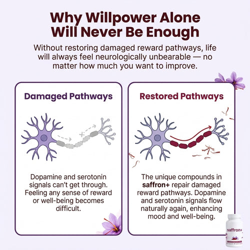 Pure Saffron Extract – Serotonin & Dopamine Support
